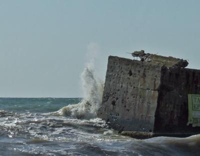 Прикрепленное изображение: DSCF7989.jpg